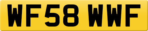 WF58WWF